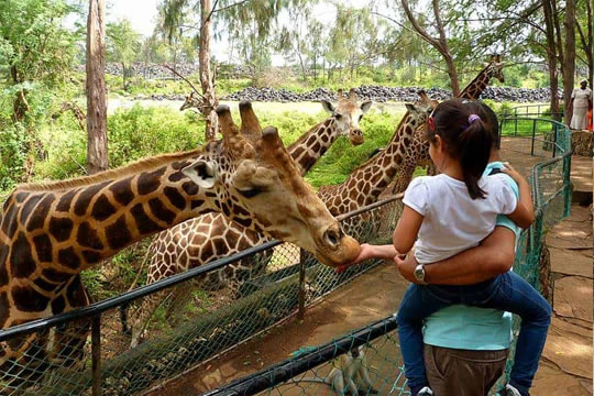 Haller Park/Bamburi Nature Trail